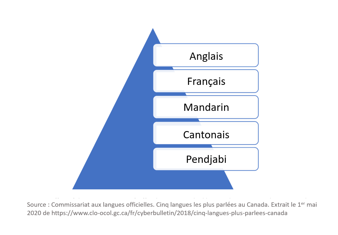 Top 5 des langues