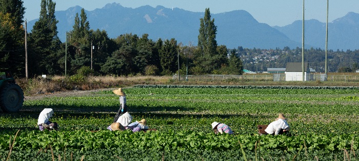 Travailleurs migrants temporaires : Liste de ressources et des conseils fiables