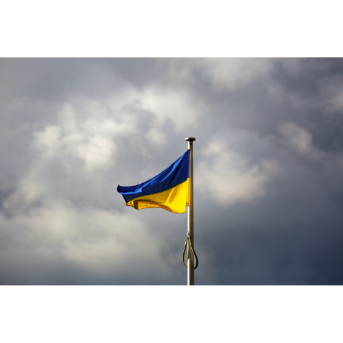 Ukrainian flag against sky