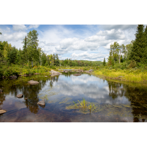 Wetlands in northern Canada