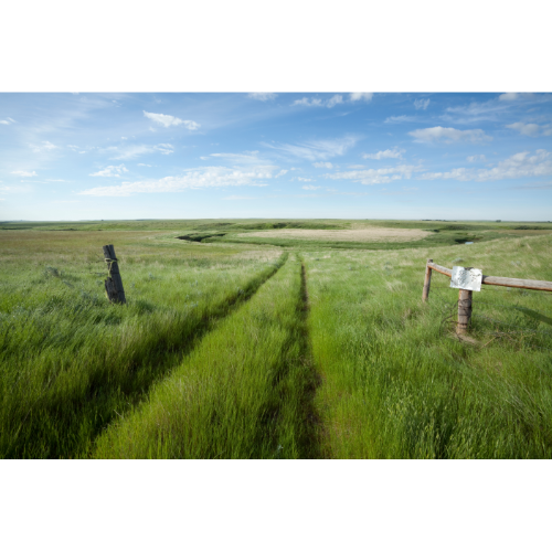 Plains of Saskatchewan