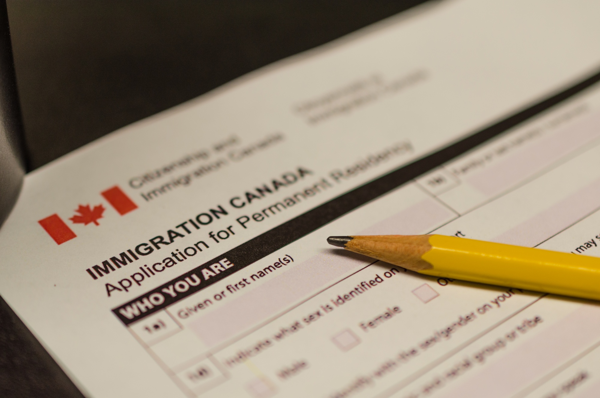 Immigration papers